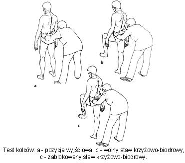 Test kolców — kolec biodrowy tylny górny