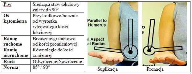 Supinacja i pronacja przedramienia - pomiar goniometrem