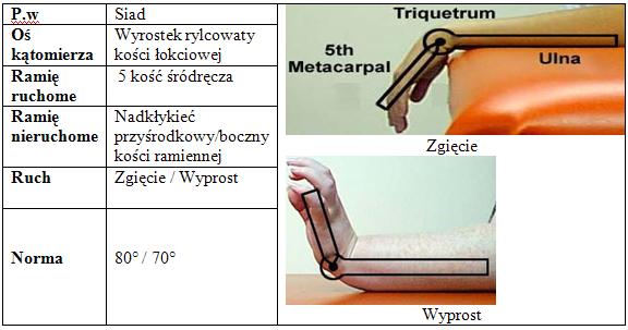 Zgięcie i wyprost nadgarstka - pomiar goniometrem