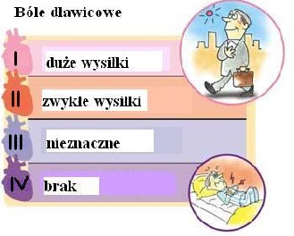 Tabela klasyfikacji CCS