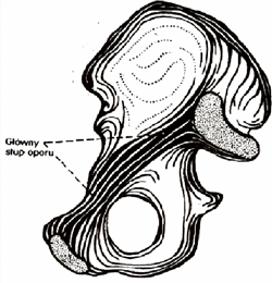 Linia oporu
