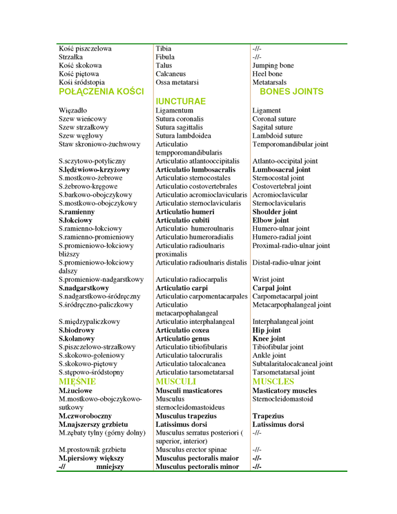 Nazewnictwo polsko-łacińsko-angielskie – strona 2