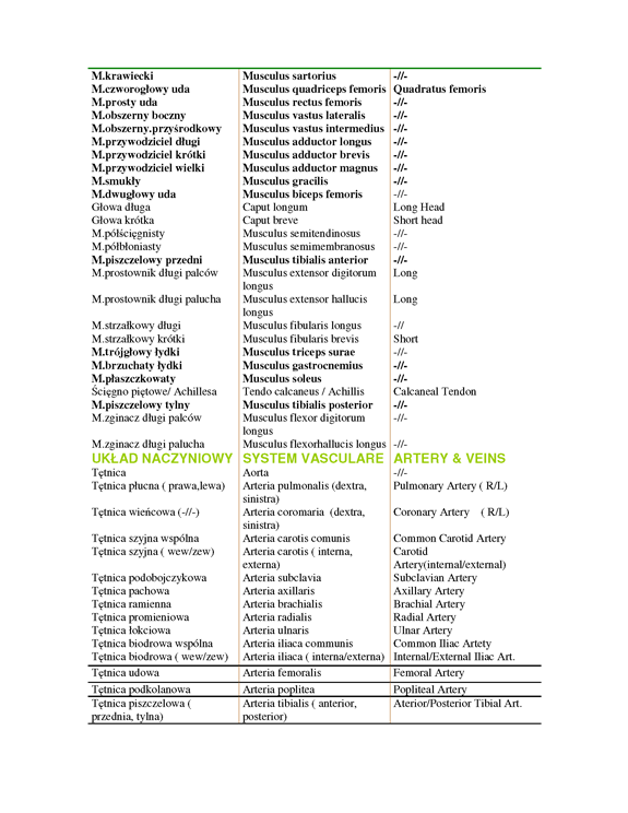 Nazewnictwo polsko-łacińsko-angielskie – strona 4