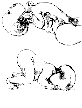 TOB
