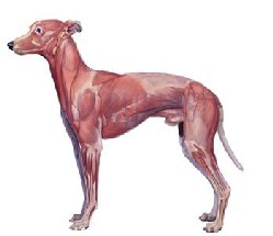 Ćwiczenia