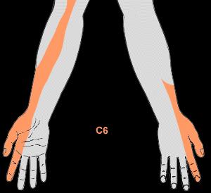 c6