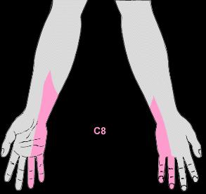 c8